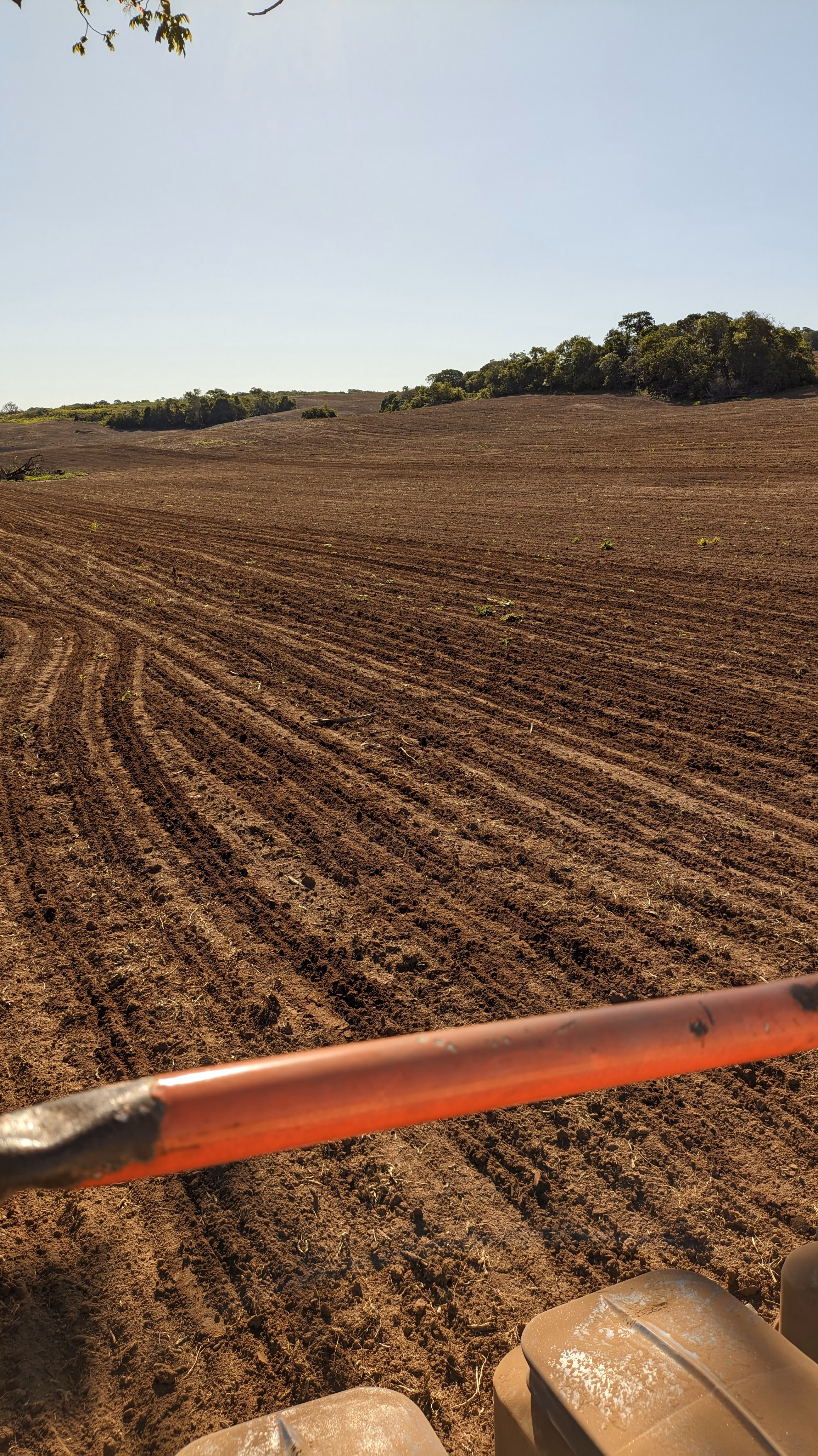 Fazenda à venda de 400 ha em Caracol, MS