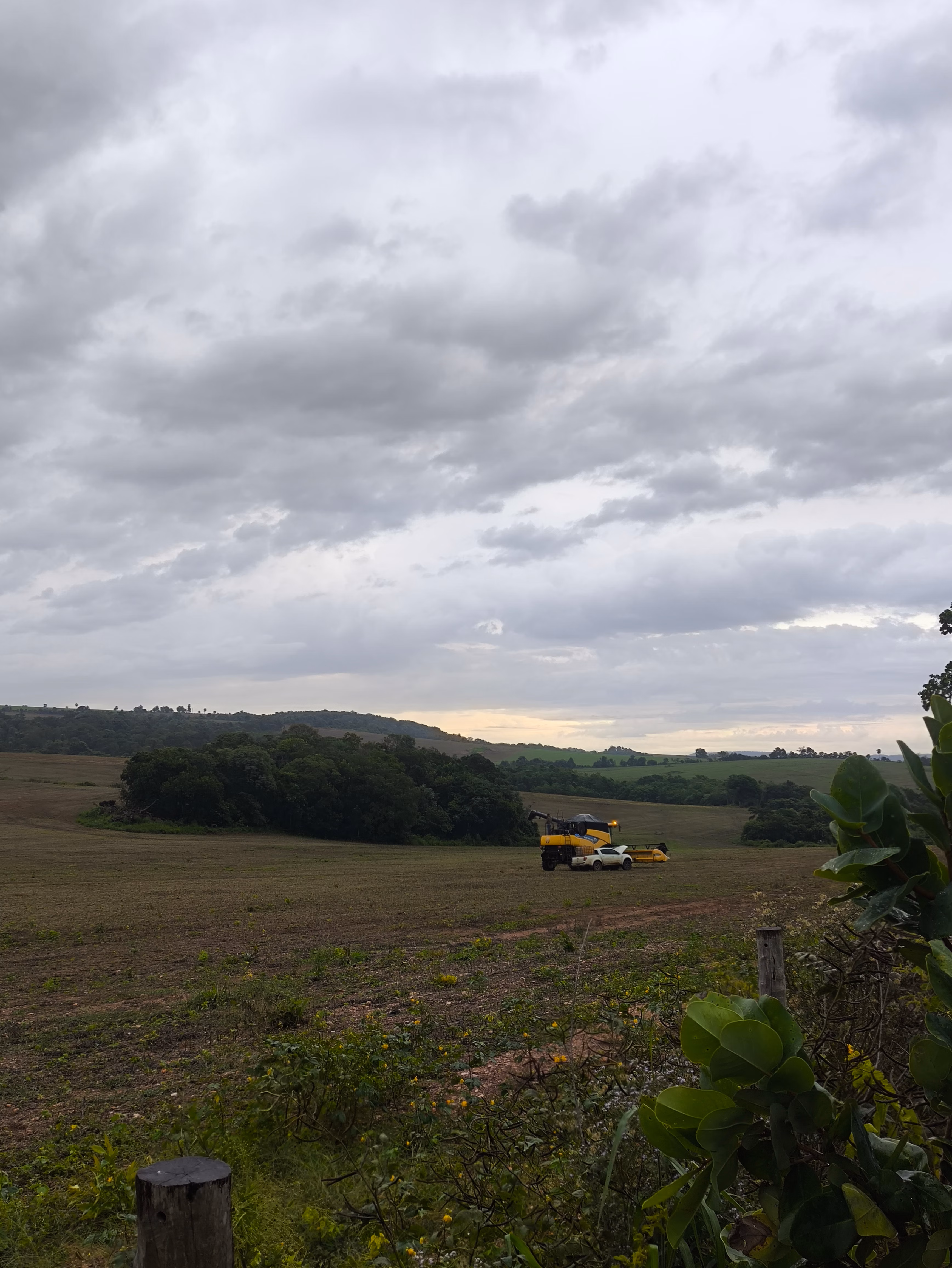 Fazenda à venda de 400 ha em Caracol, MS