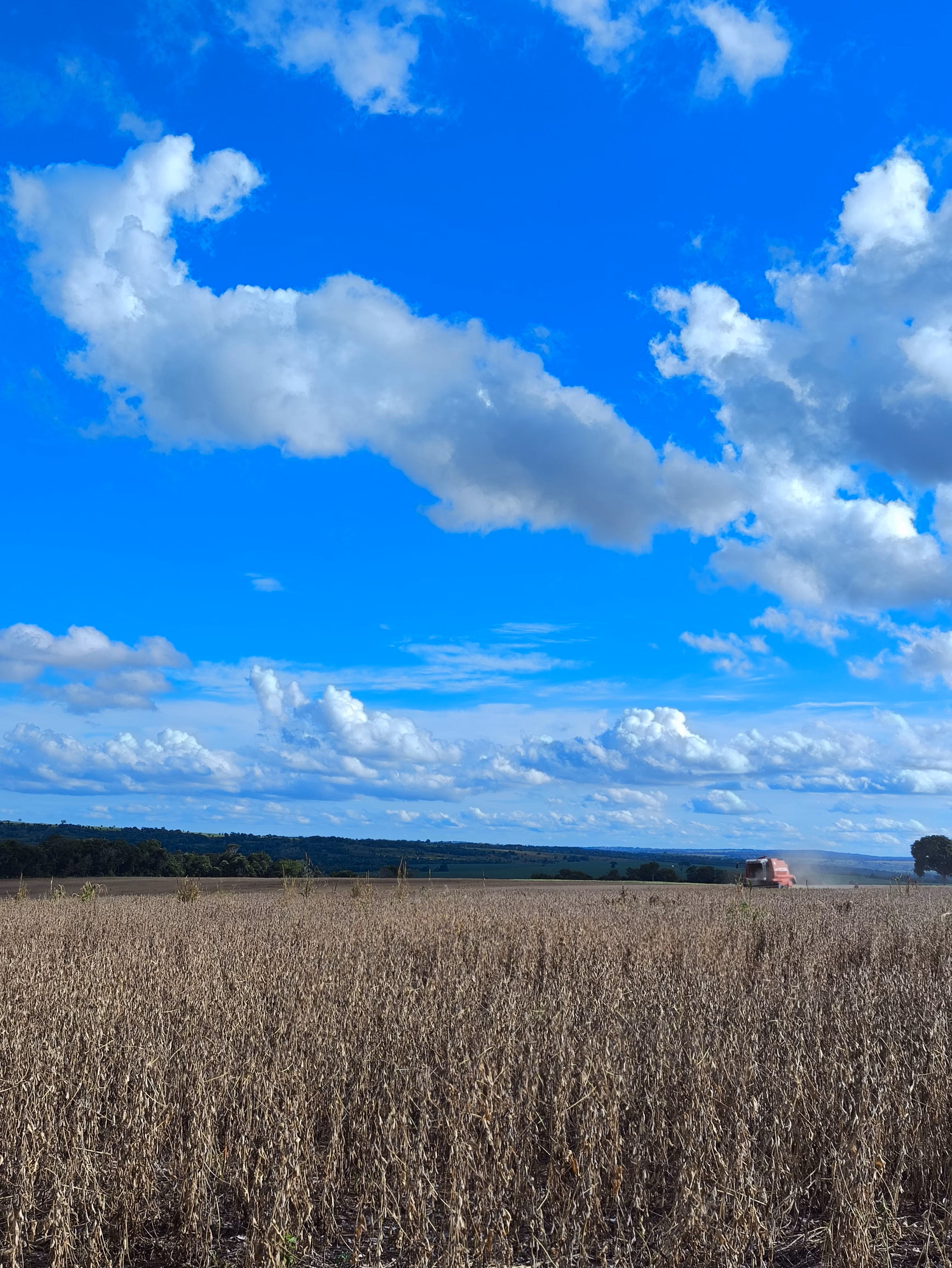 Fazenda à venda de 400 ha em Caracol, MS