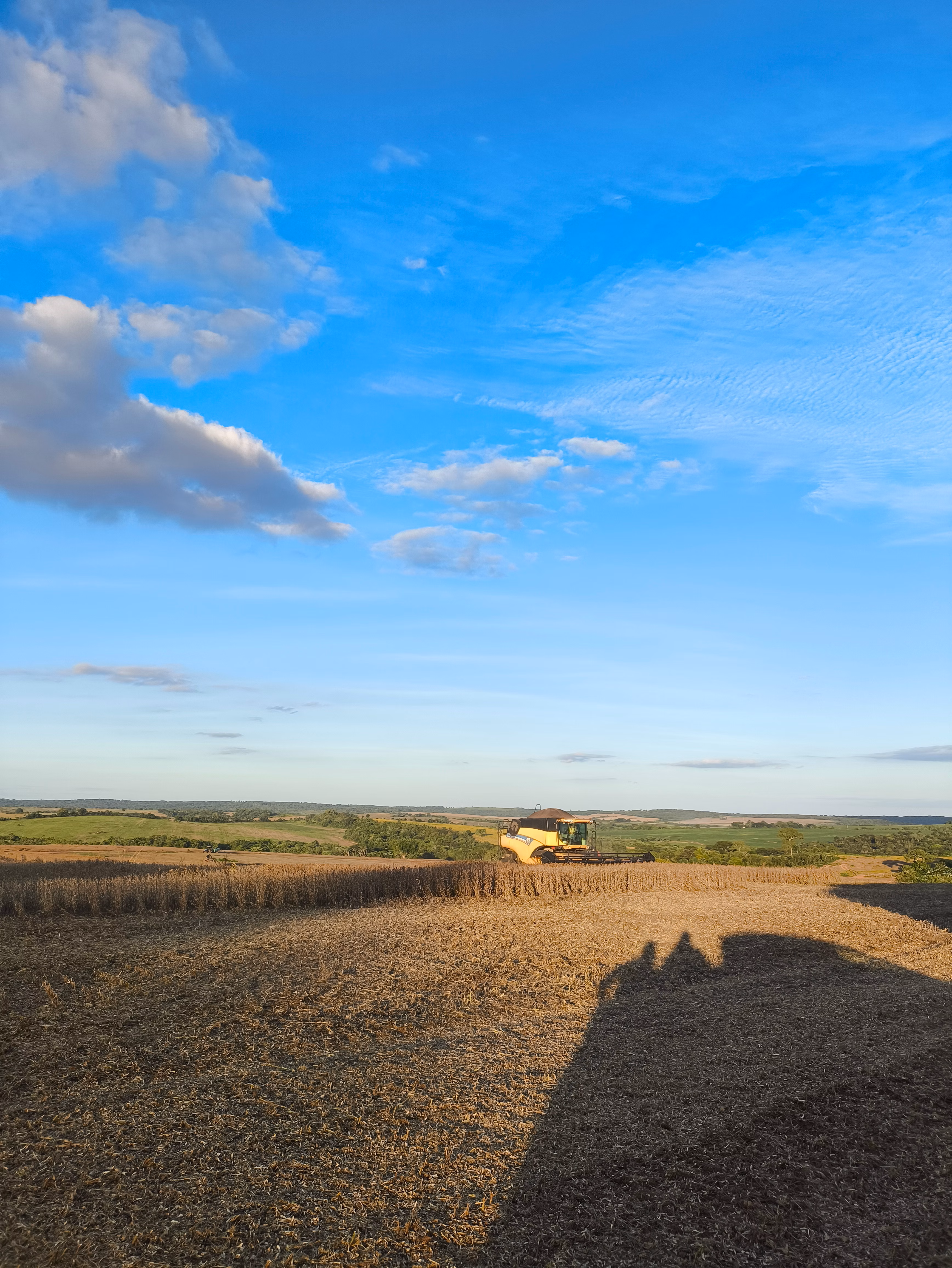 Fazenda à venda de 400 ha em Caracol, MS