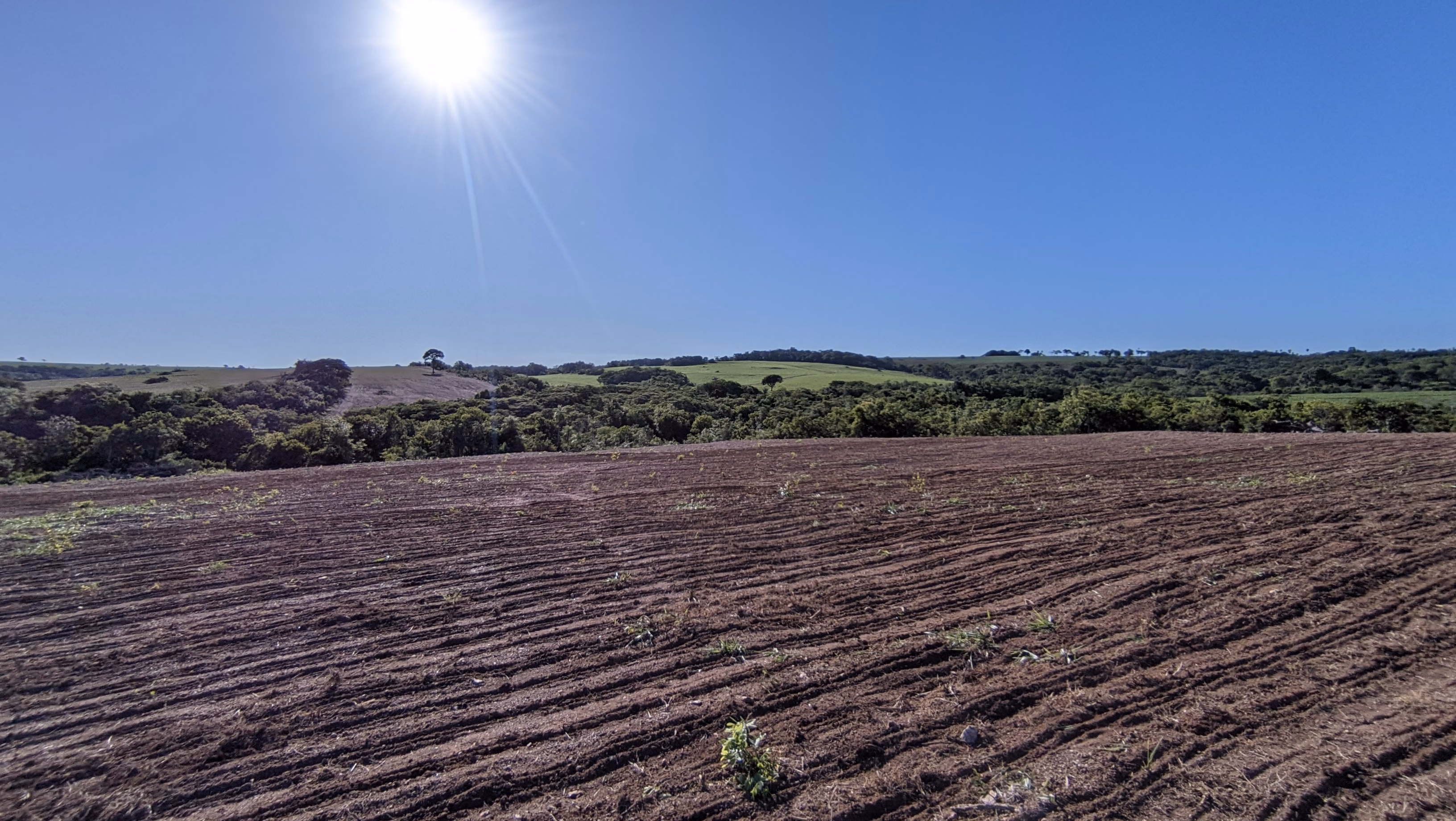 Fazenda à venda de 400 ha em Caracol, MS
