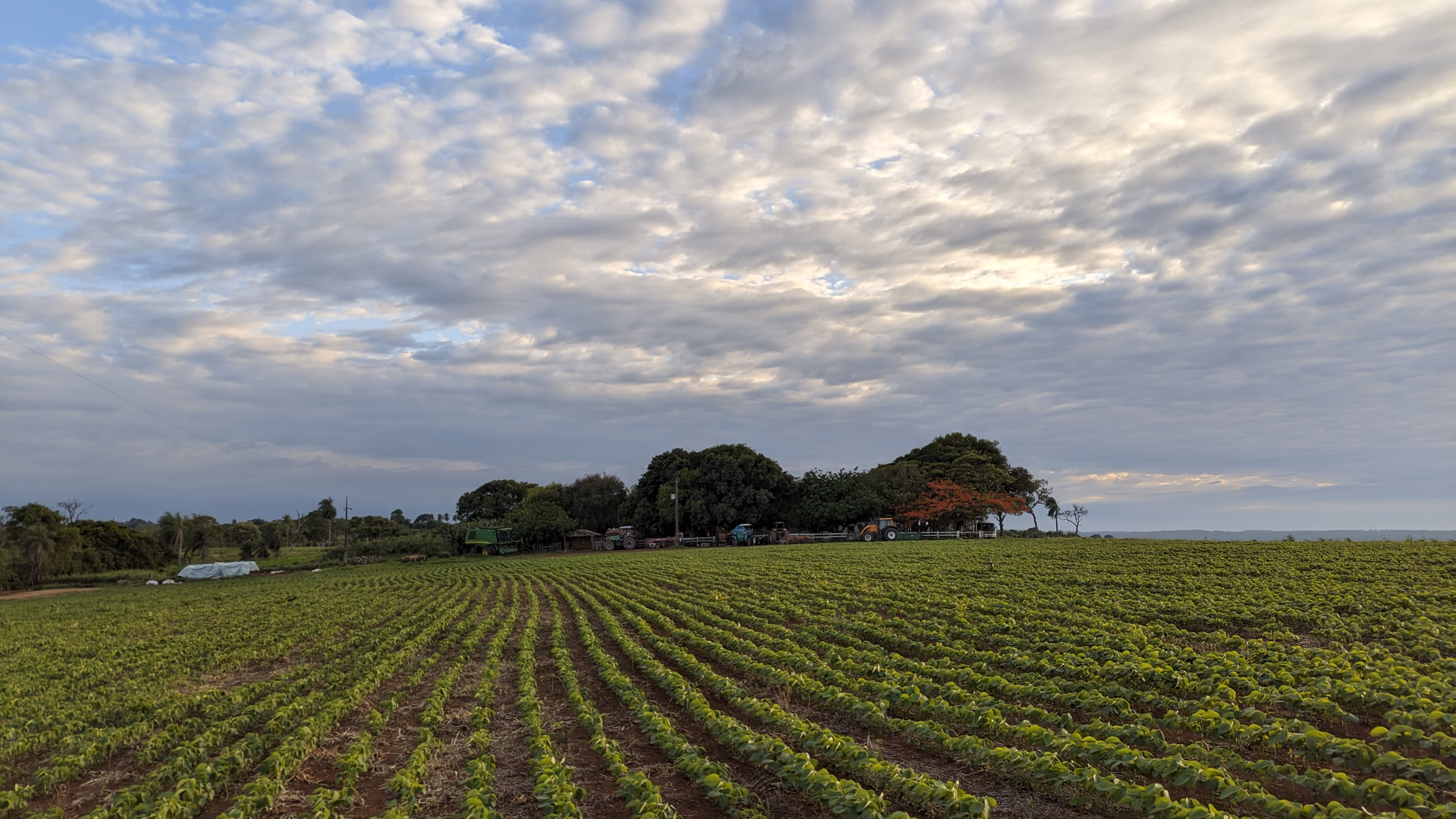 Fazenda à venda de 400 ha em Caracol, MS