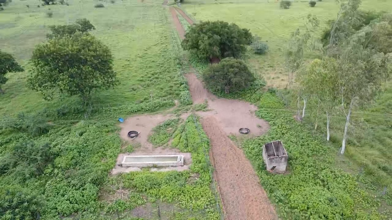 Terreno de 1.310 ha em Morpará, BA