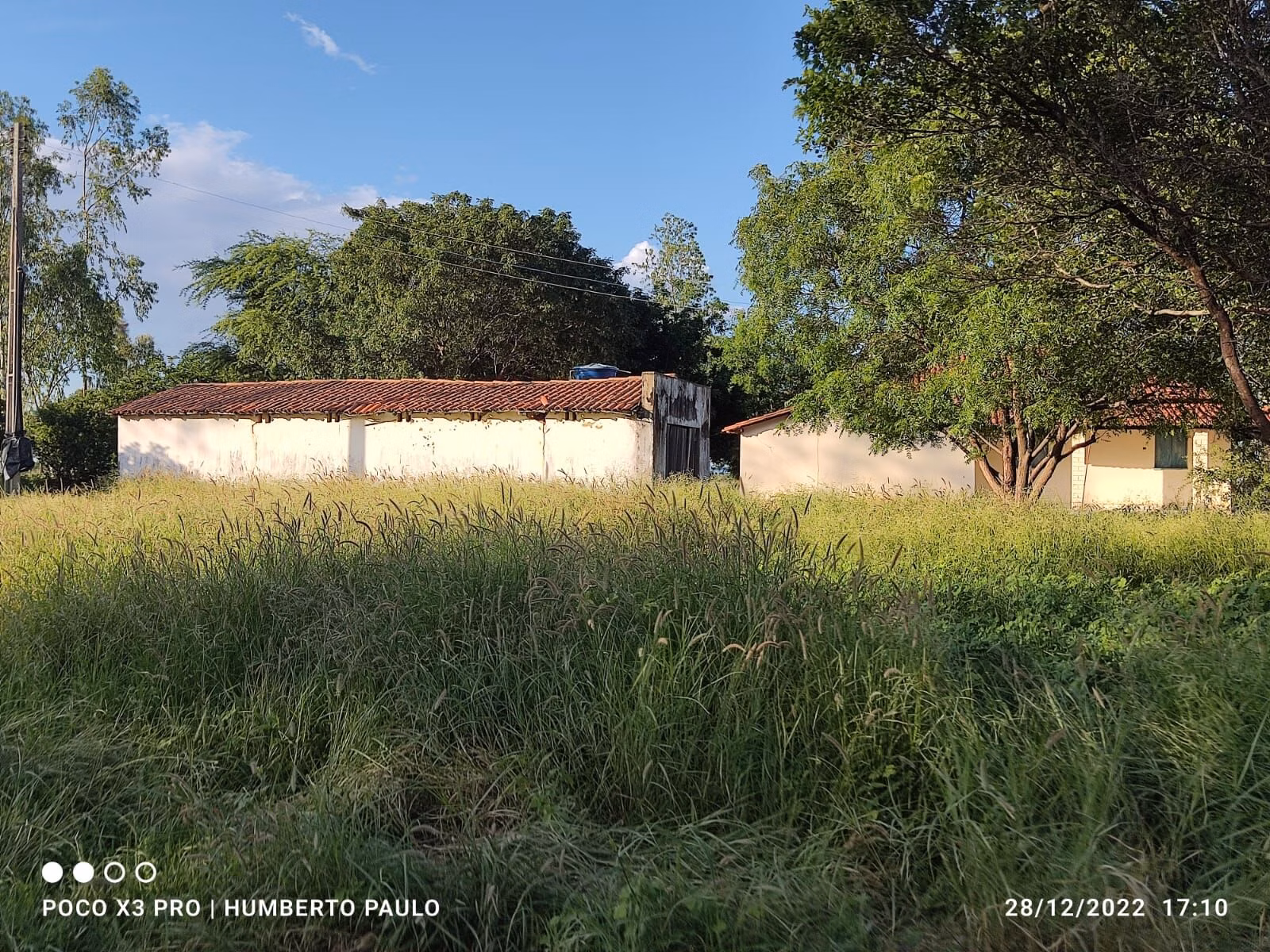 Terreno de 1.310 ha em Morpará, BA