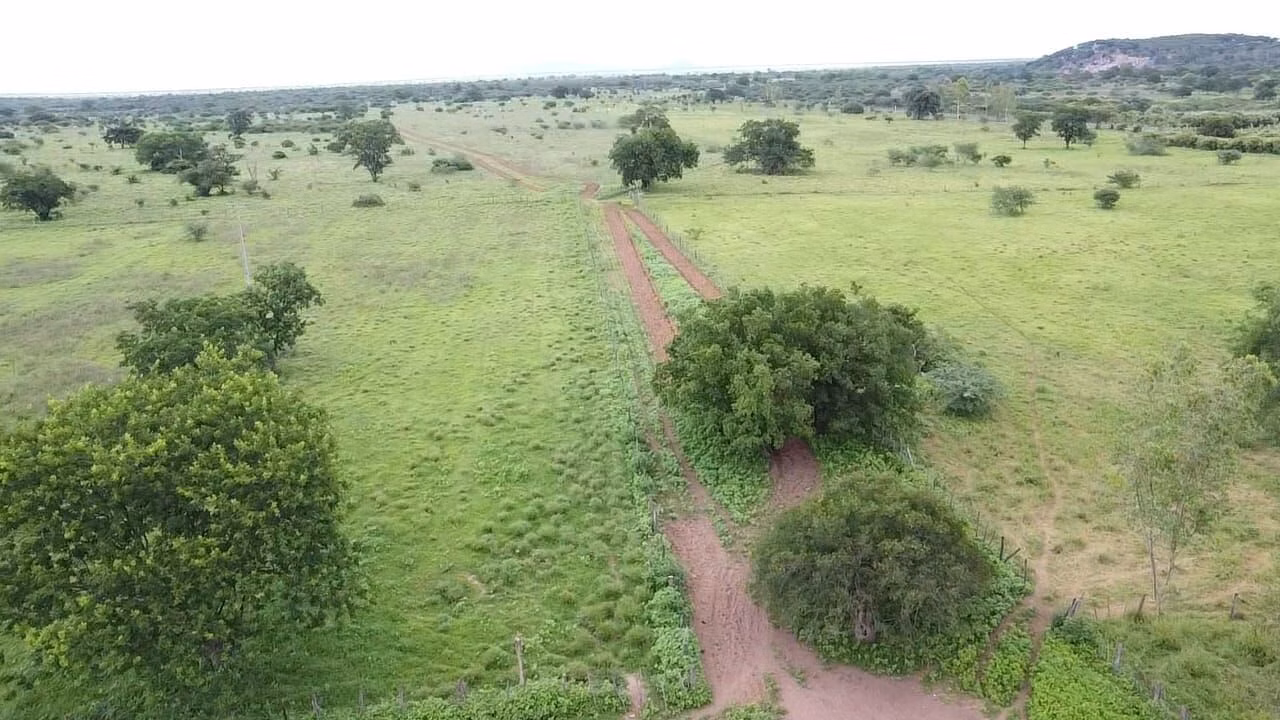 Terreno de 1.310 ha em Morpará, BA