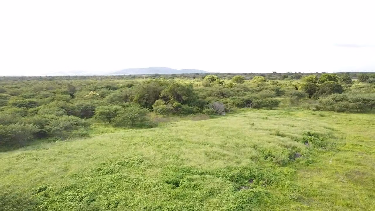 Terreno de 1.310 ha em Morpará, BA