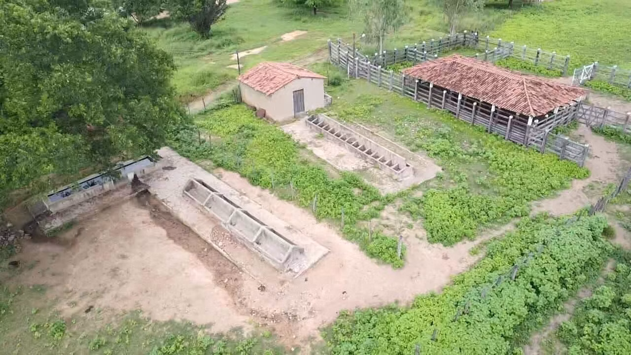 Terreno de 1.310 ha em Morpará, BA