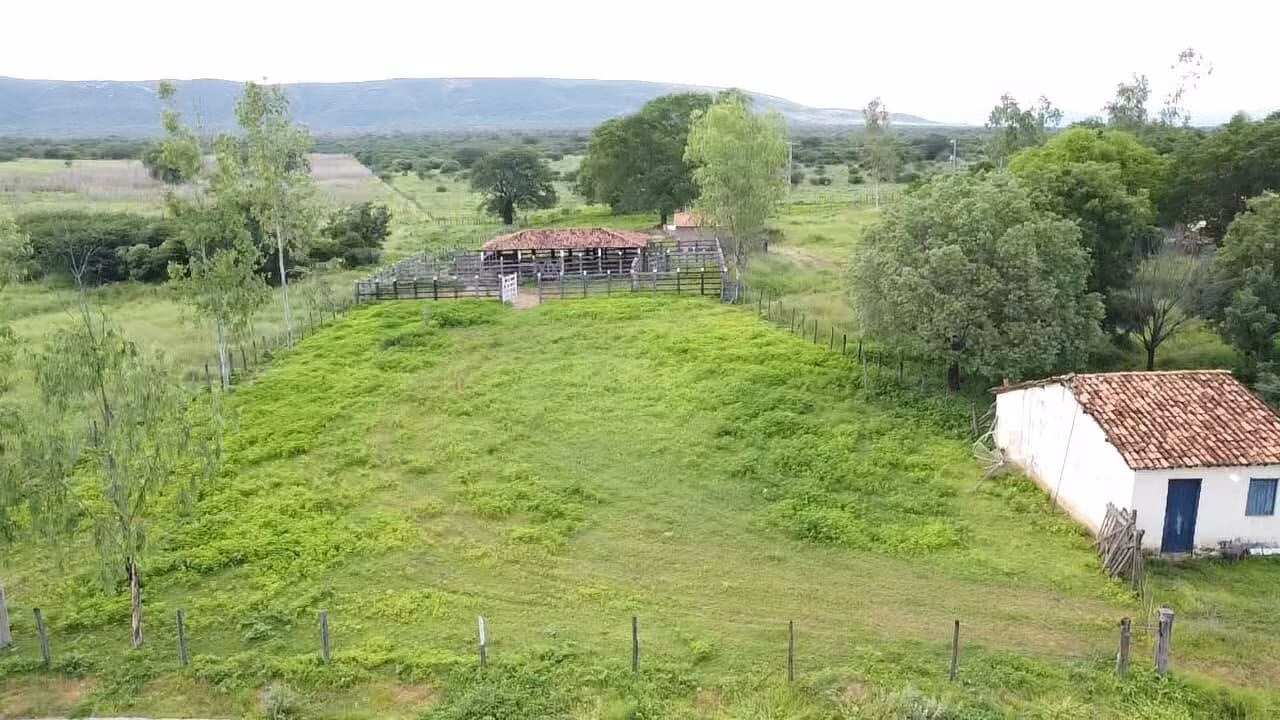 Terreno de 1.310 ha em Morpará, BA