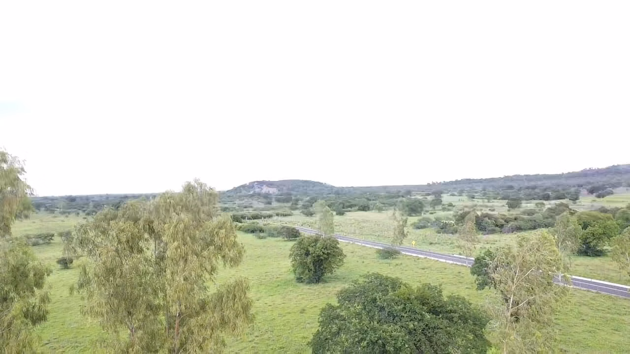 Terreno de 1.310 ha em Morpará, BA