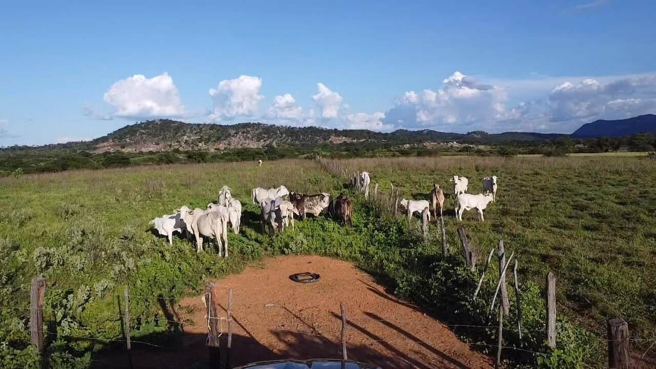 Terreno de 1.310 ha em Morpará, BA
