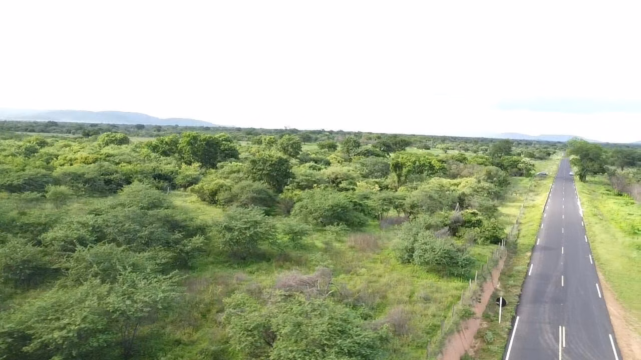 Terreno de 1.310 ha em Morpará, BA