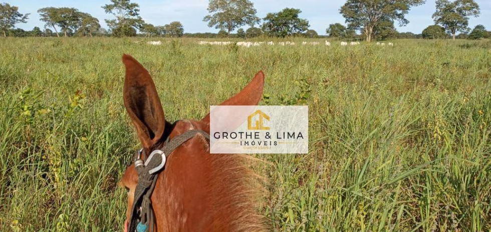 Fazenda de 4.743 ha em Cocalinho, MT