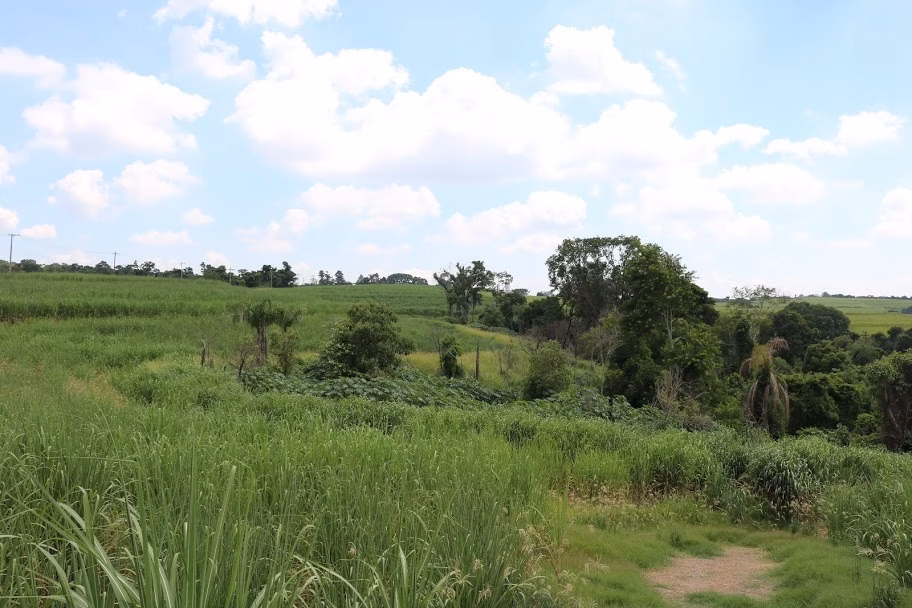 Plot of 31 acres in Boituva, SP, Brazil