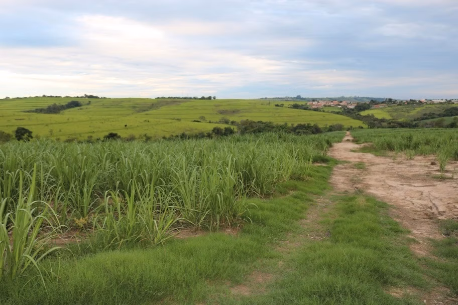 Plot of 31 acres in Boituva, SP, Brazil