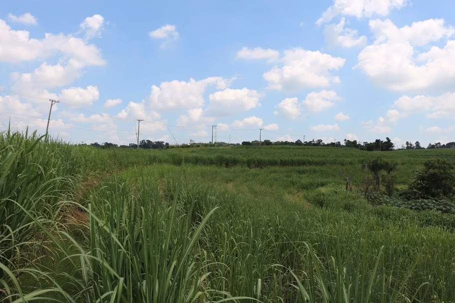 Plot of 31 acres in Boituva, SP, Brazil
