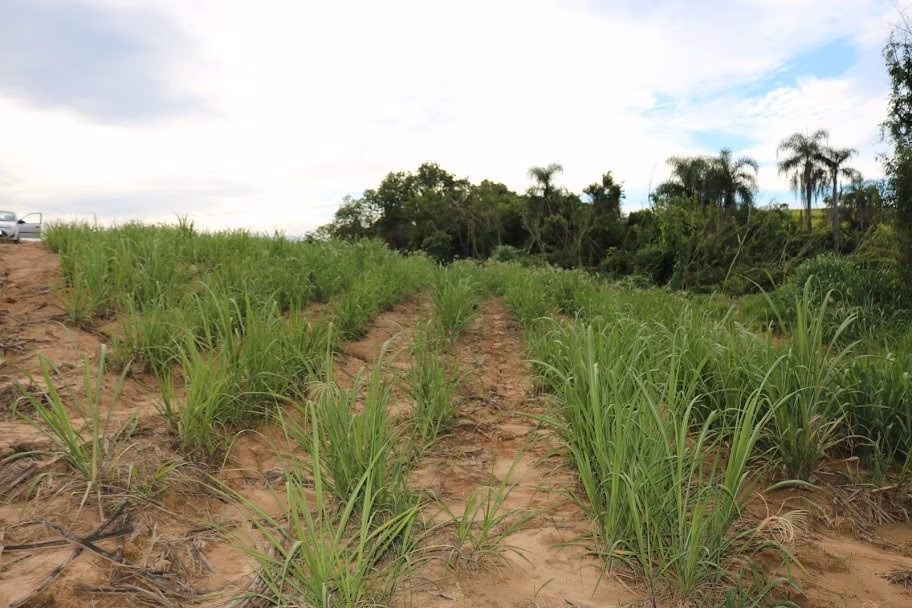 Plot of 31 acres in Boituva, SP, Brazil