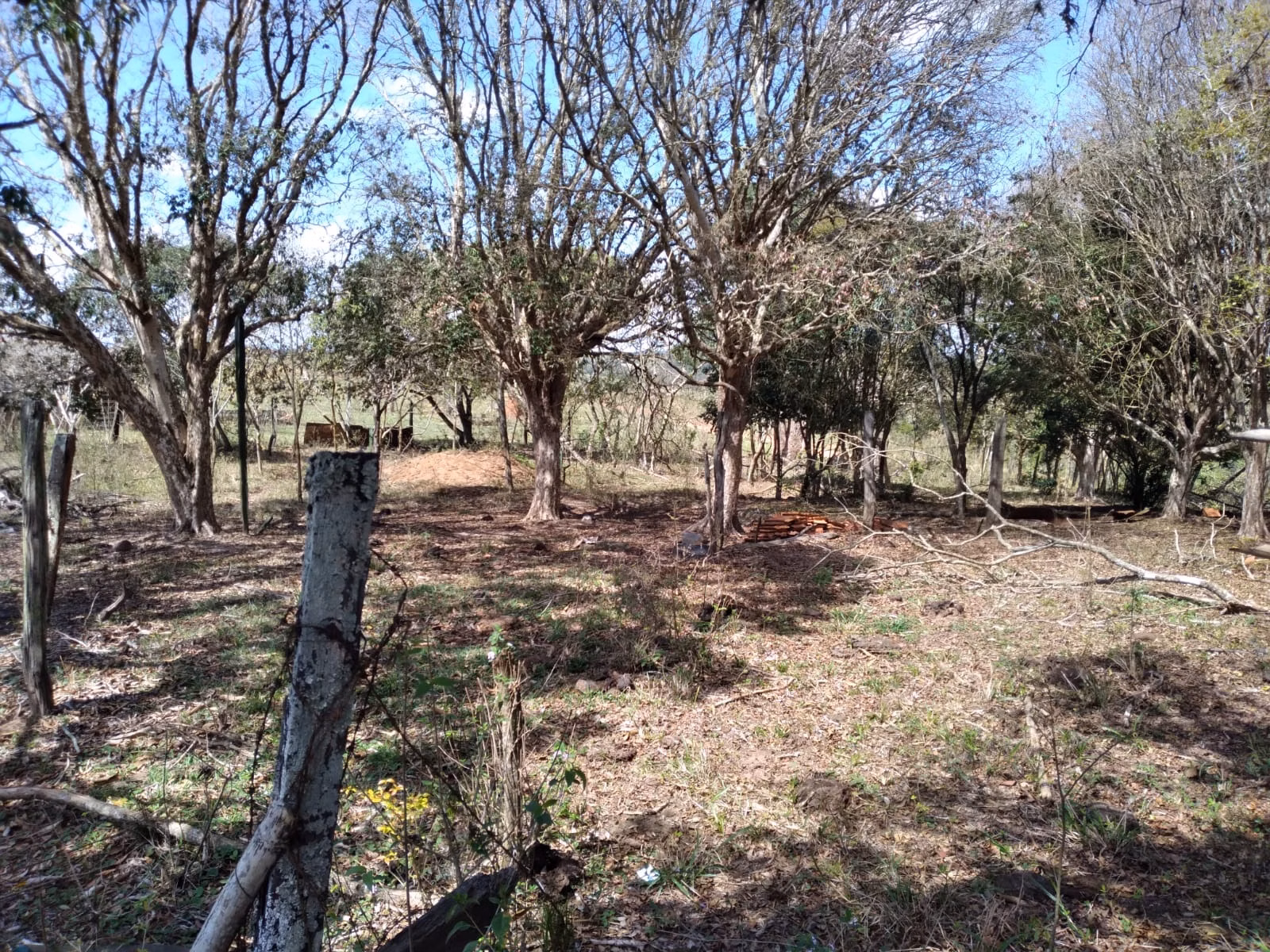 Small farm of 85 acres in Tatuí, SP, Brazil
