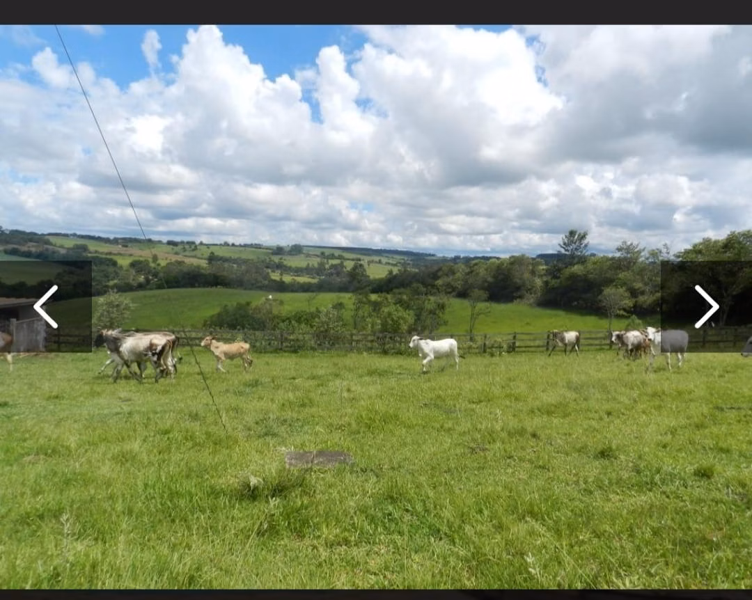 Small farm of 85 acres in Tatuí, SP, Brazil