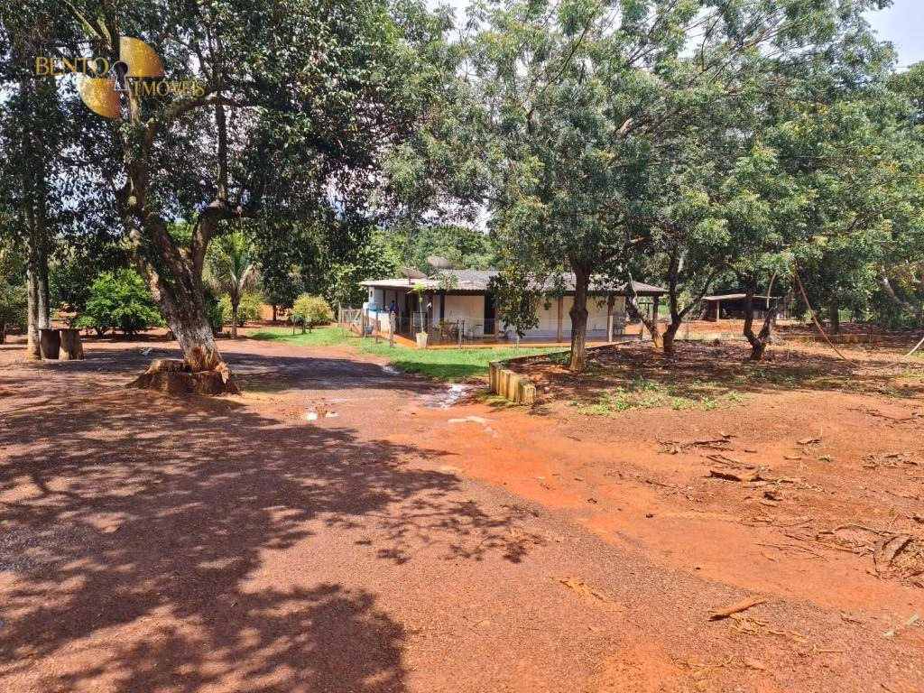 Fazenda de 1.349 ha em Primavera do Leste, MT