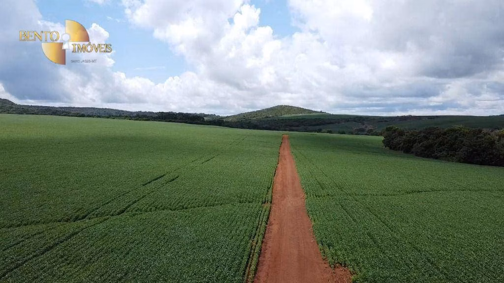 Fazenda de 1.349 ha em Primavera do Leste, MT