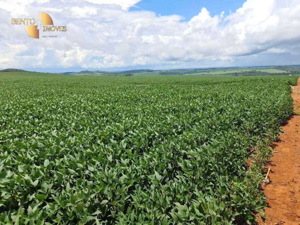 Fazenda de 1.349 ha em Primavera do Leste, MT