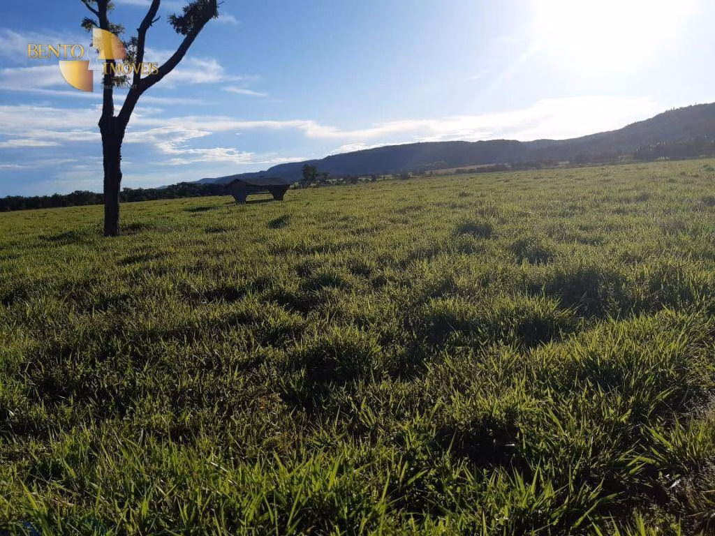 Fazenda de 911 ha em Nobres, MT