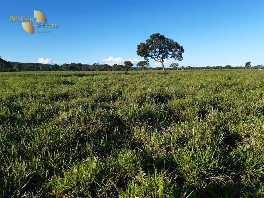 Fazenda de 911 ha em Nobres, MT
