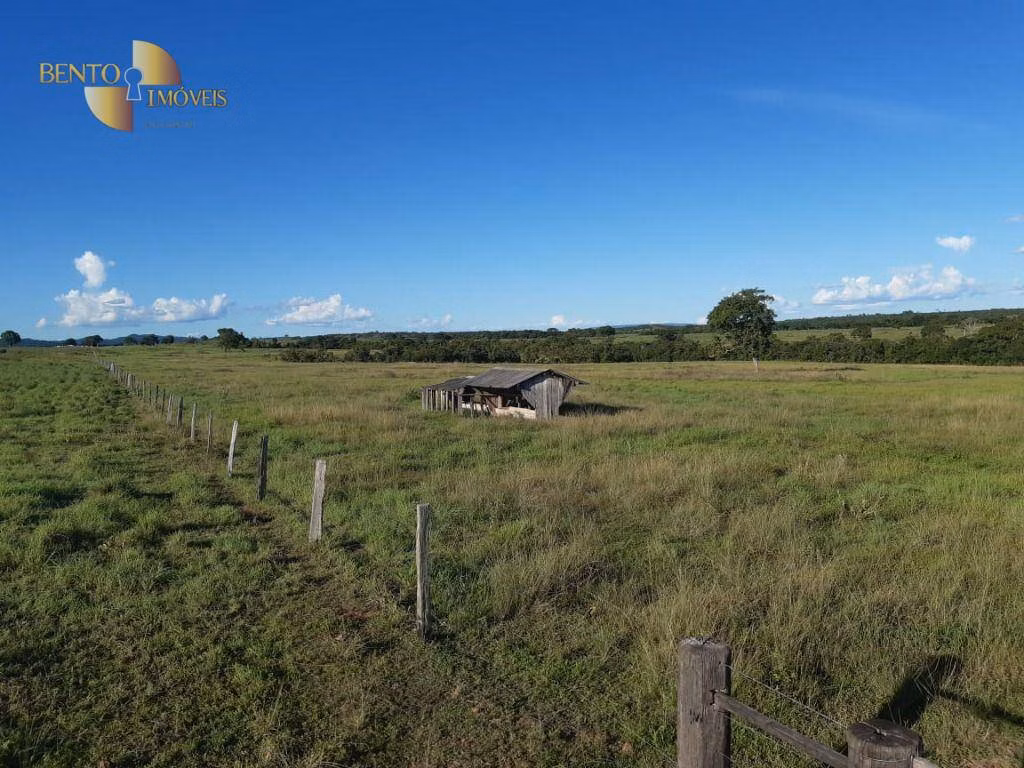 Fazenda de 911 ha em Nobres, MT