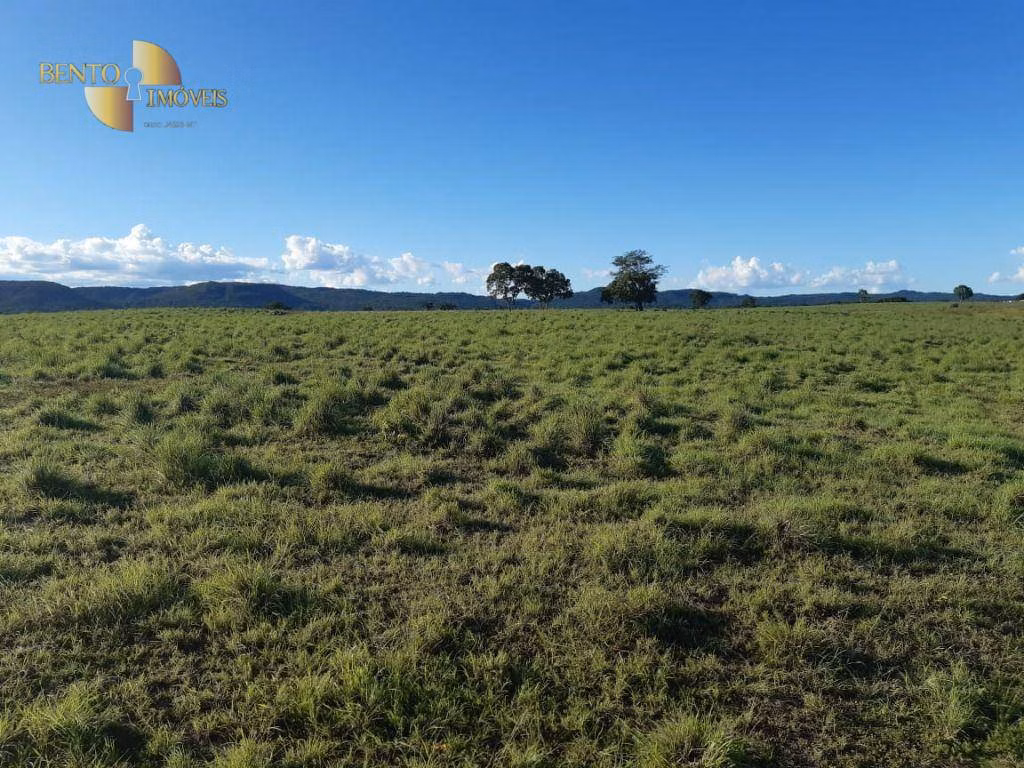 Fazenda de 911 ha em Nobres, MT