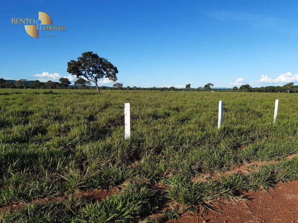 Fazenda de 911 ha em Nobres, MT