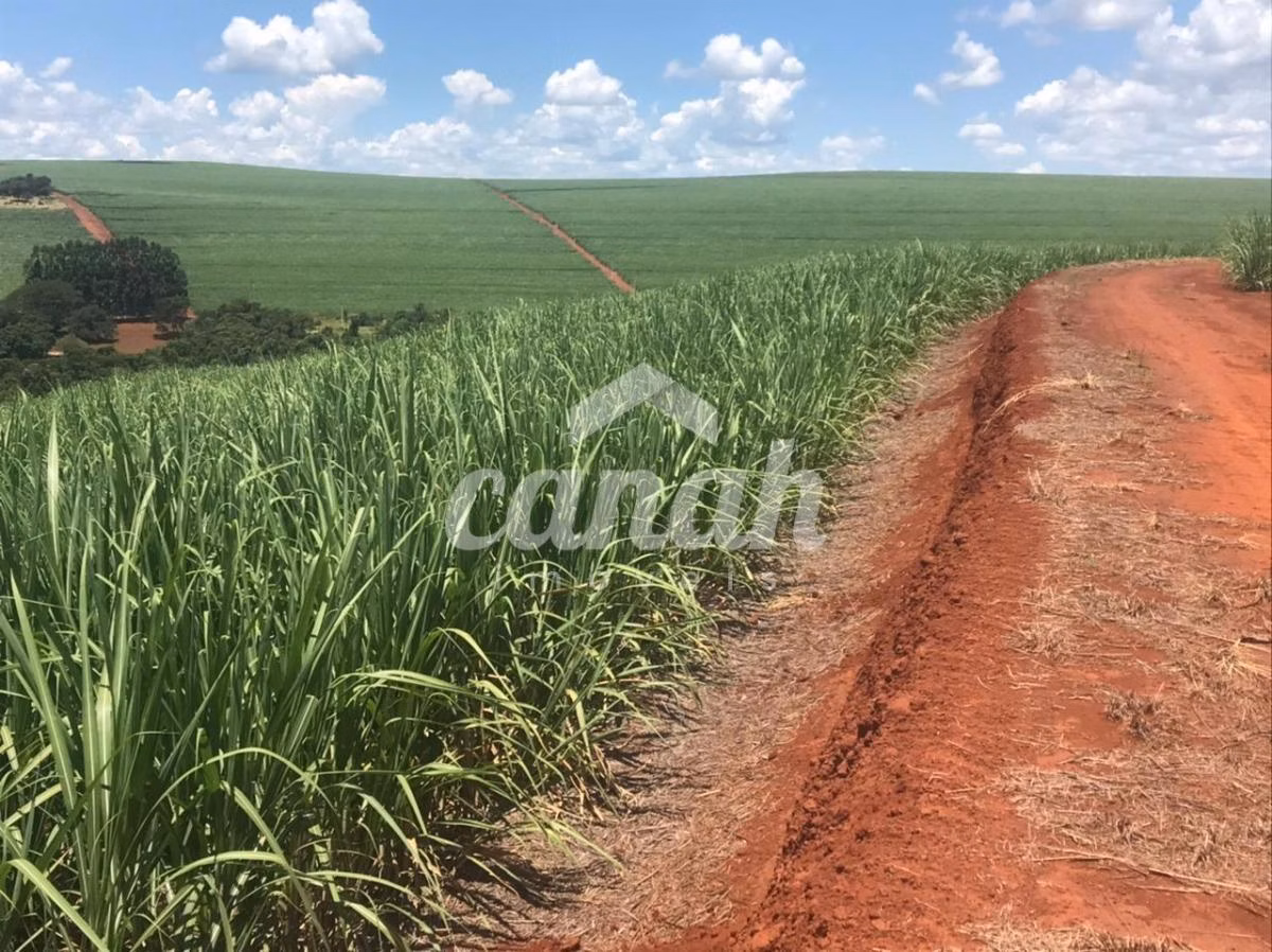 Fazenda à venda de 175 ha em Patrocínio Paulista, SP