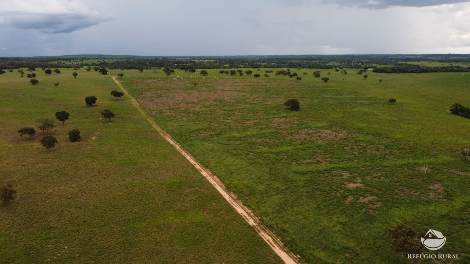 Fazenda de 1.563 ha em Porto Franco, MA