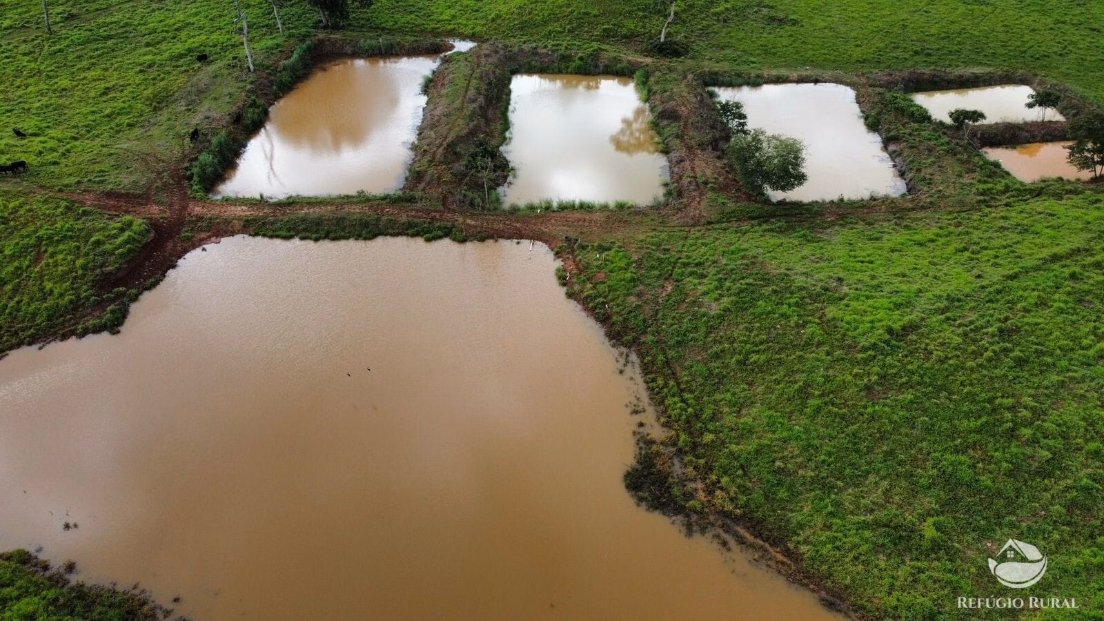 Fazenda de 1.563 ha em Porto Franco, MA
