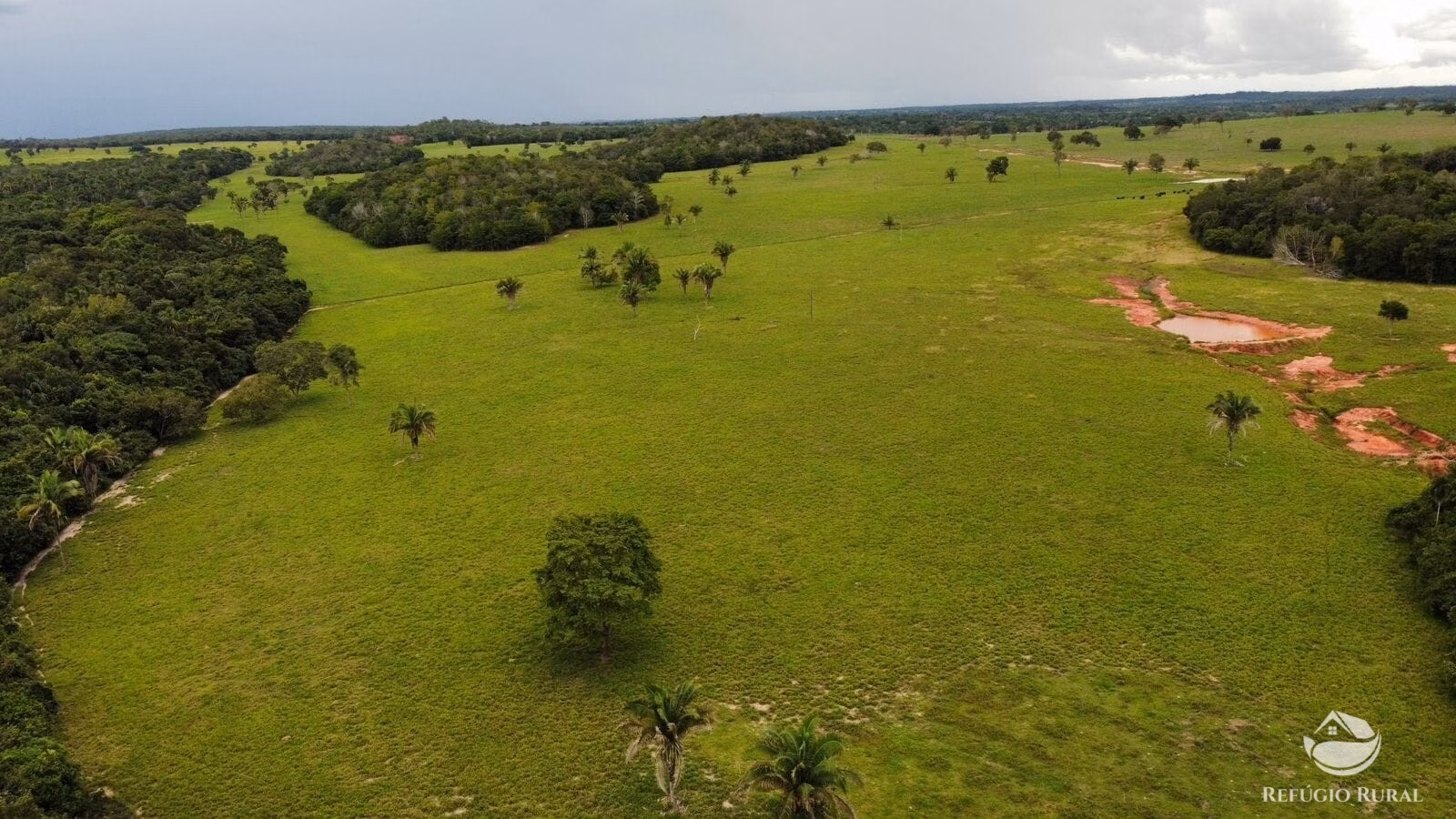 Fazenda de 1.563 ha em Porto Franco, MA