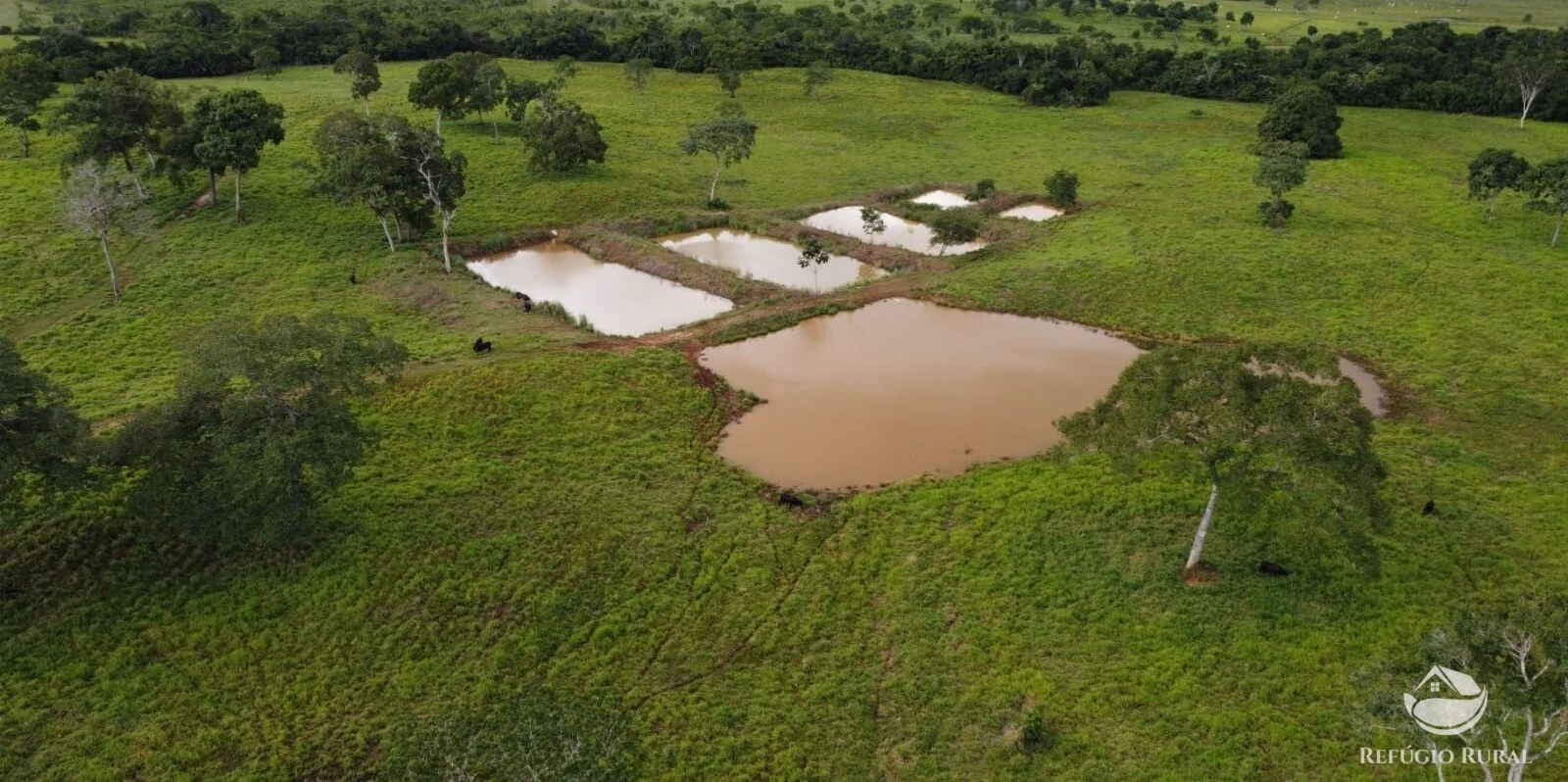 Fazenda de 1.563 ha em Porto Franco, MA