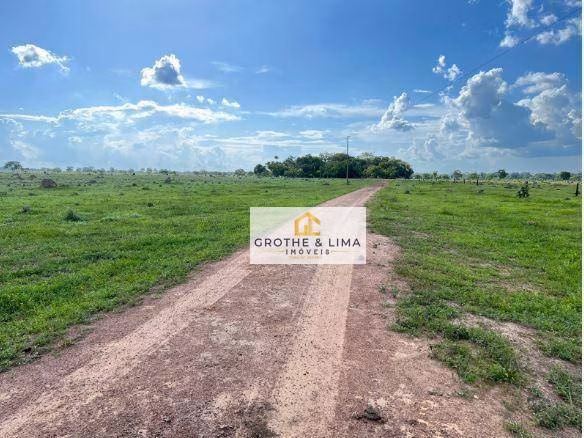 Fazenda de 324 ha em Conceição do Araguaia, PA