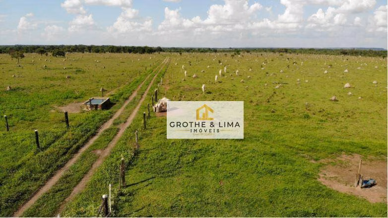 Fazenda de 324 ha em Conceição do Araguaia, PA
