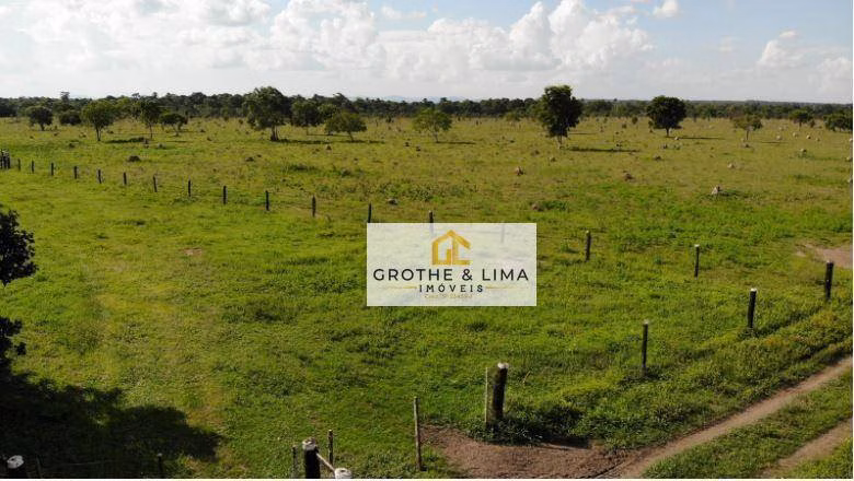 Fazenda de 324 ha em Conceição do Araguaia, PA