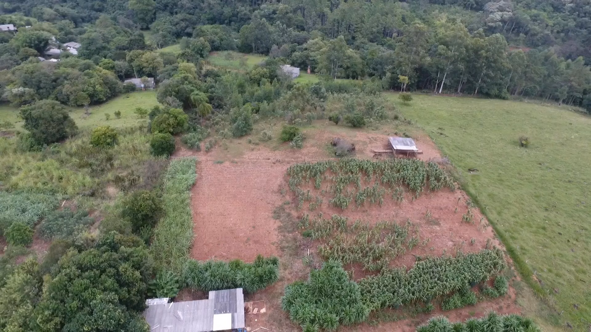 Chácara de 2 ha em Taquara, RS