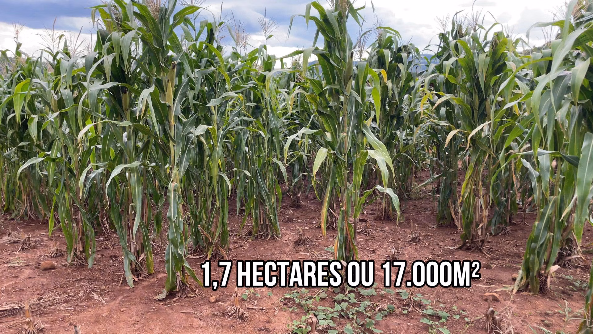 Chácara de 2 ha em Taquara, RS