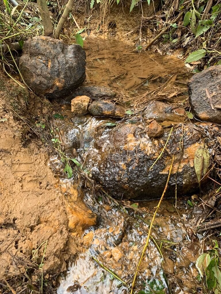 Fazenda de 1 ha em Luiz Alves, SC