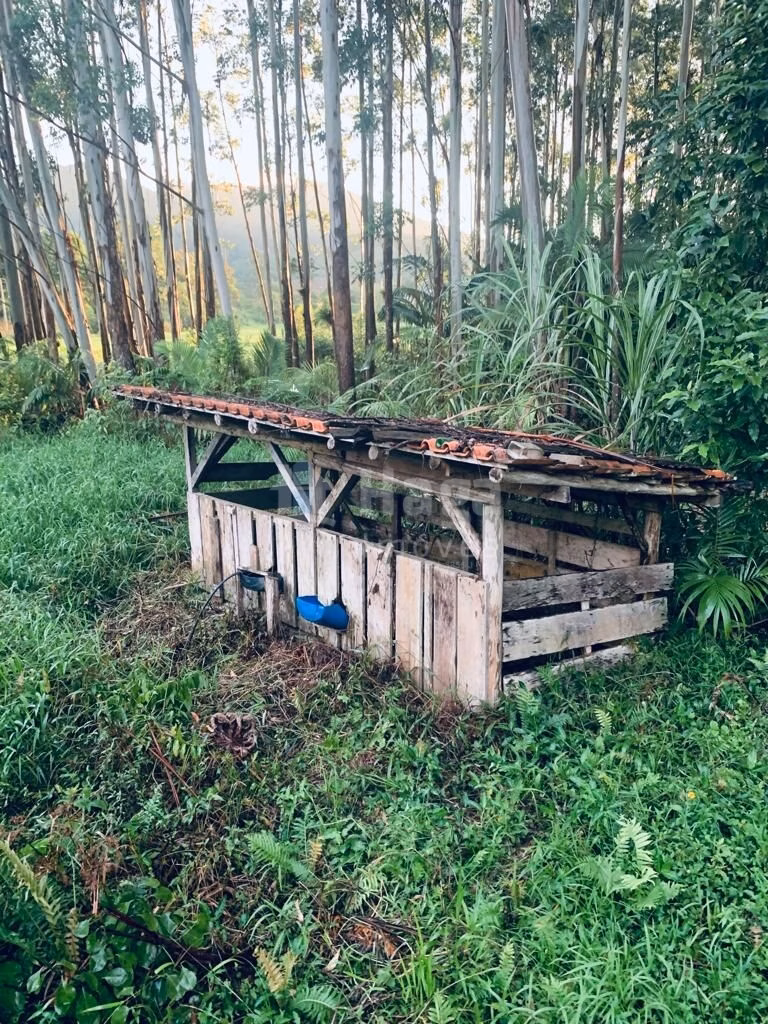 Fazenda de 1 ha em Luiz Alves, SC