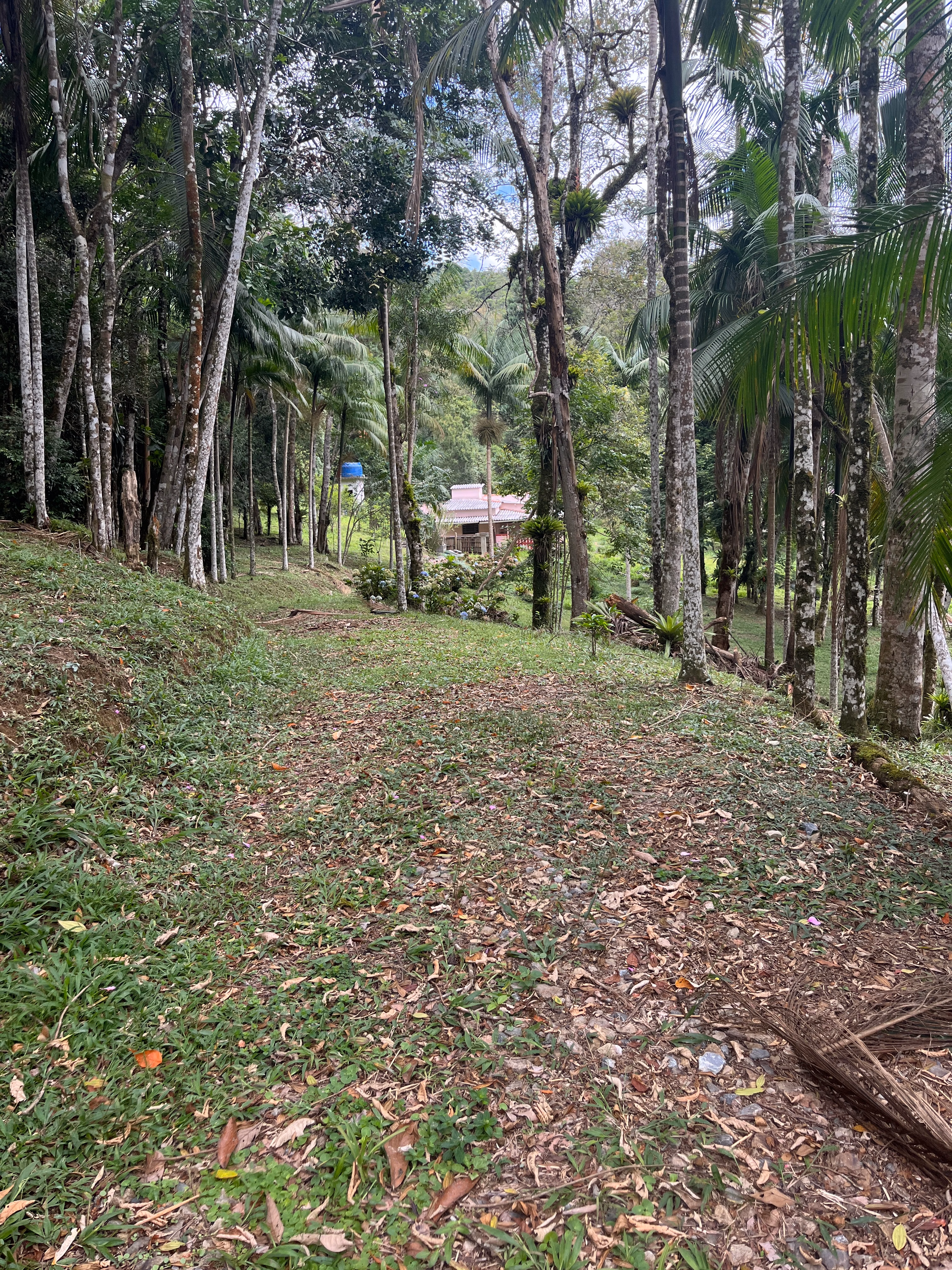 Small farm of 7 acres in Tapiraí, SP, Brazil