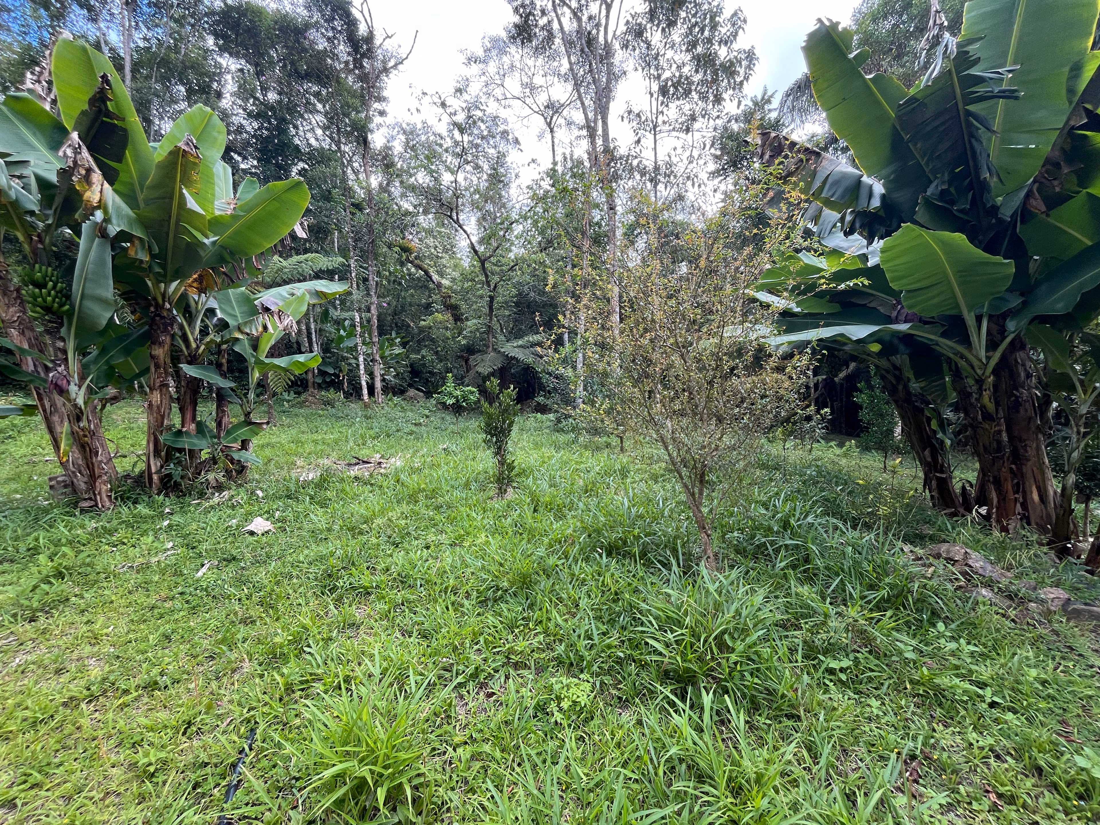 Small farm of 7 acres in Tapiraí, SP, Brazil