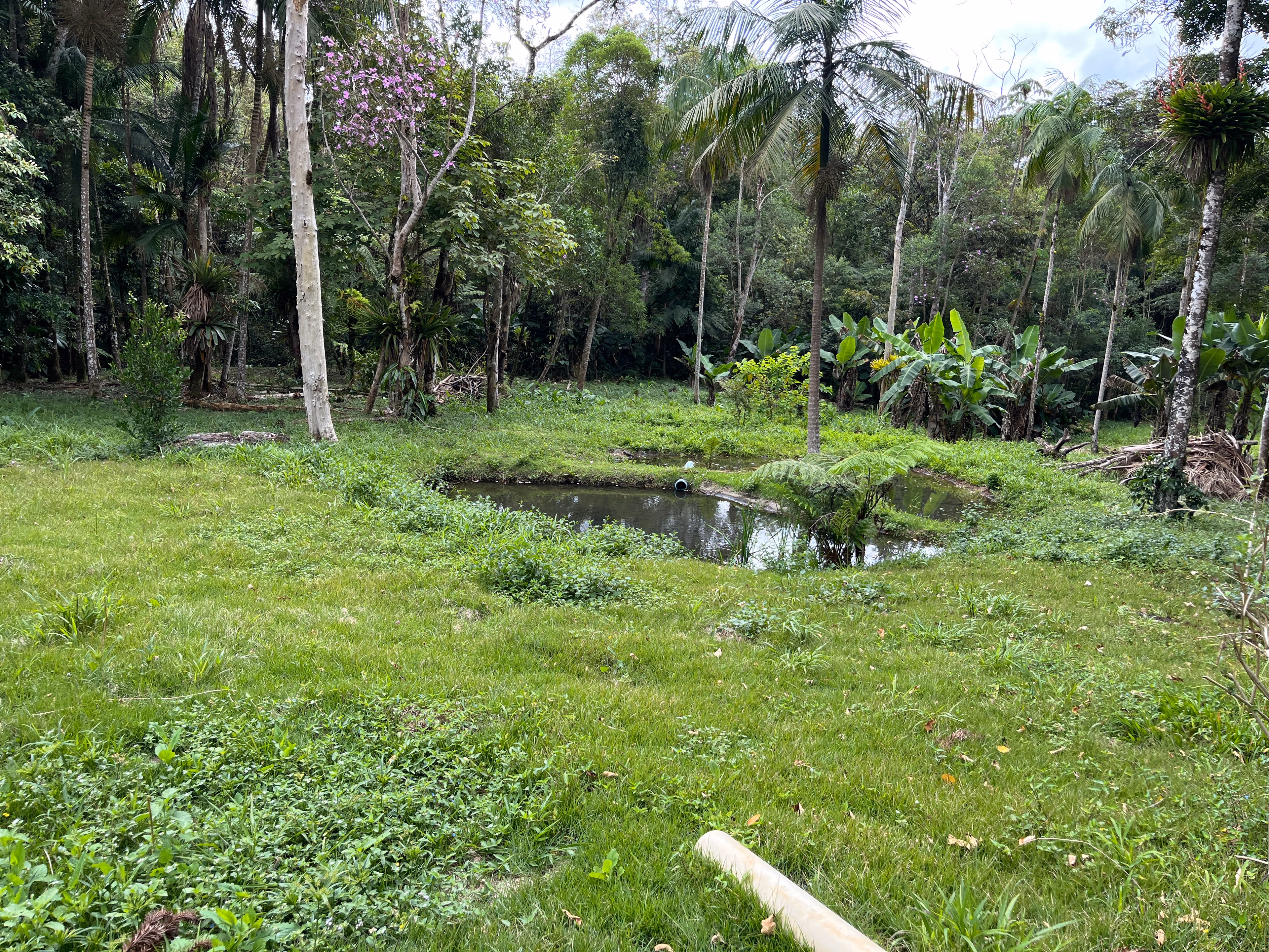 Small farm of 7 acres in Tapiraí, SP, Brazil