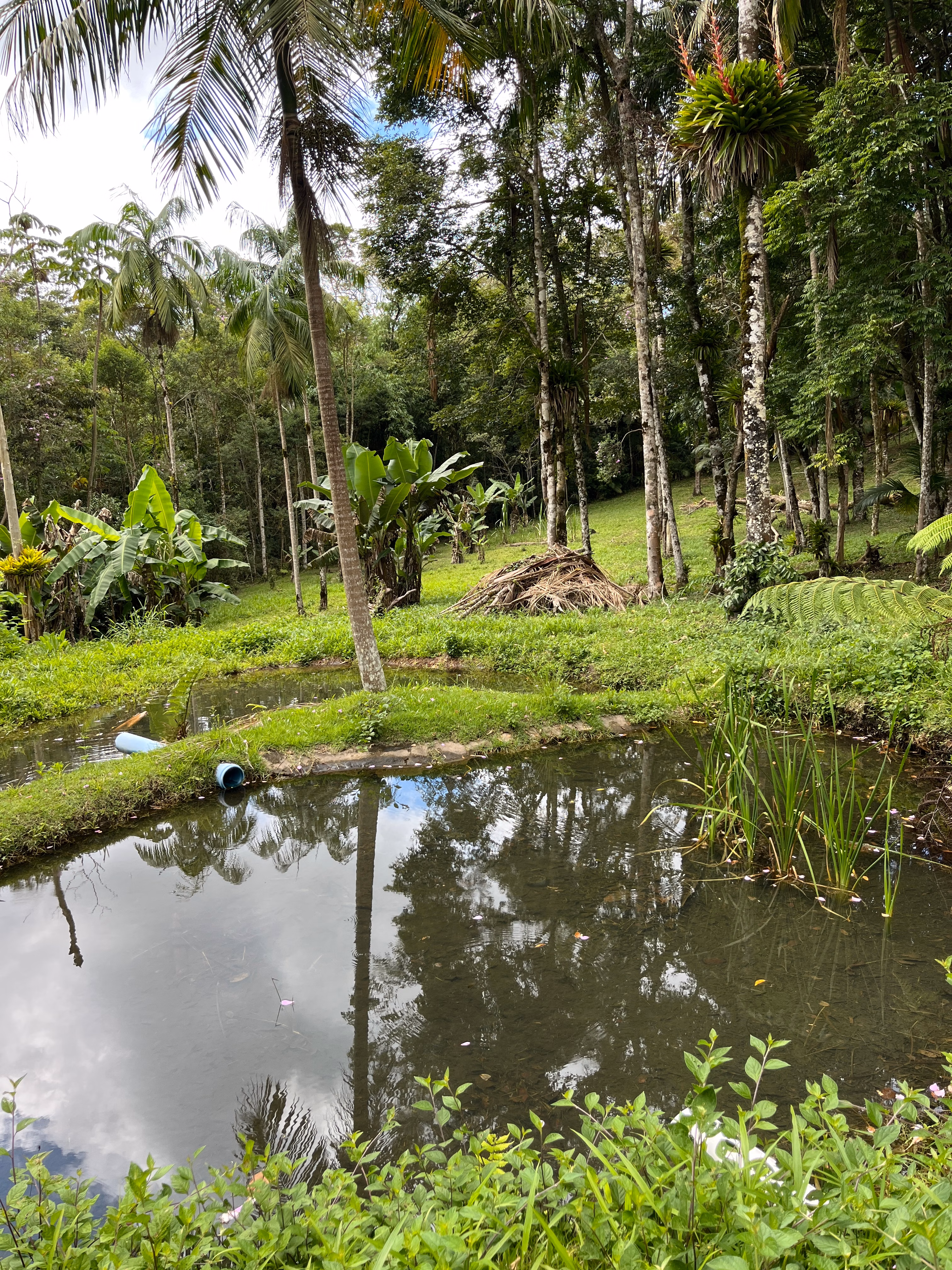 Small farm of 7 acres in Tapiraí, SP, Brazil