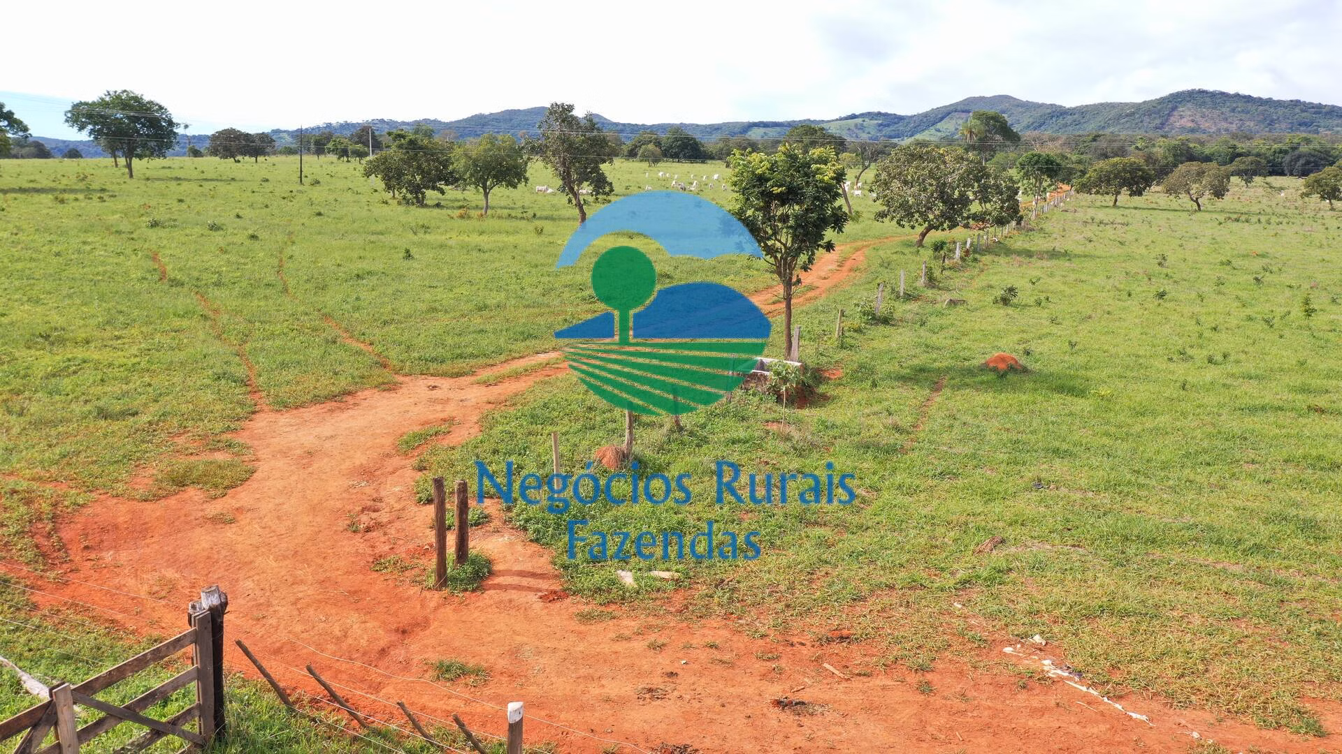 Farm of 430 acres in Pirenópolis, GO, Brazil