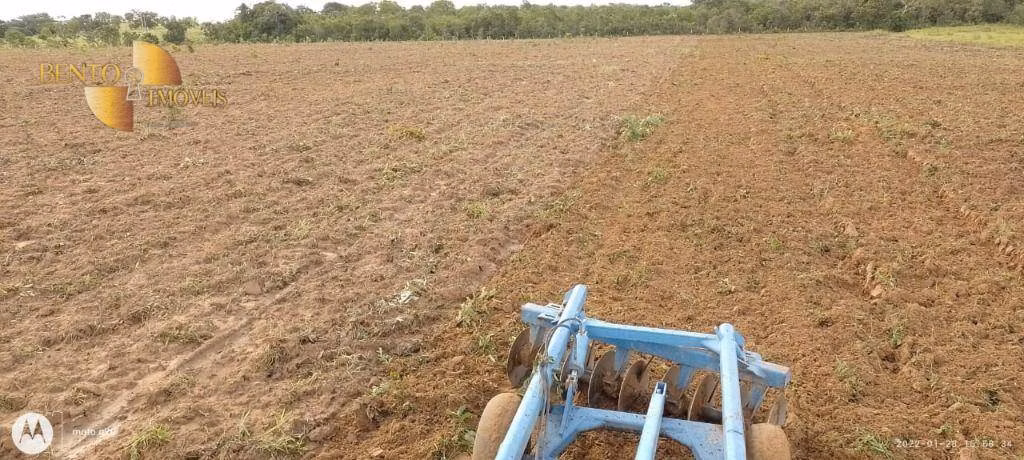 Fazenda de 1.000 ha em Poconé, MT