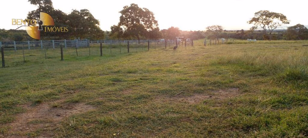 Fazenda de 1.000 ha em Poconé, MT