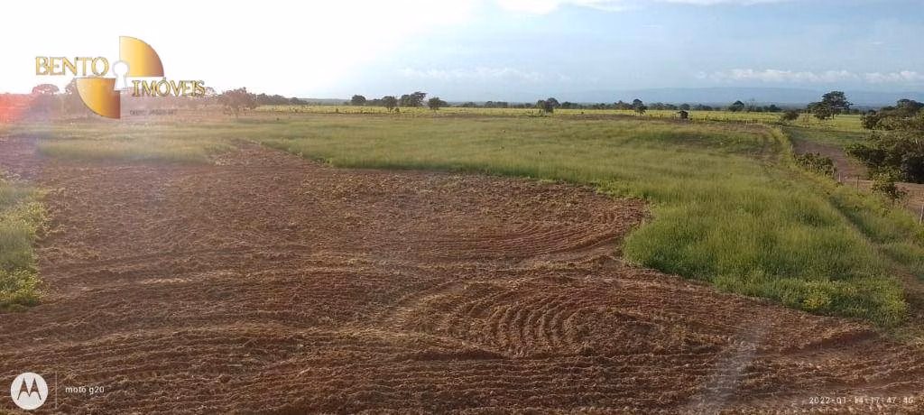 Fazenda de 1.000 ha em Poconé, MT